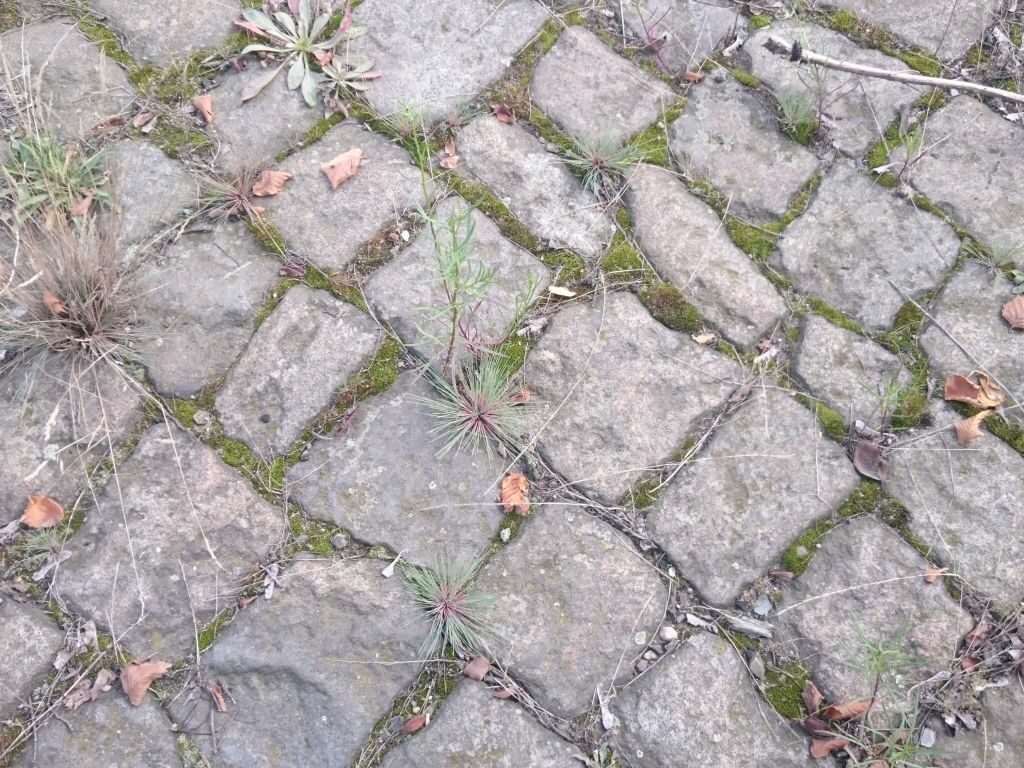 Der größte Anteil der Flächenentsiegelung bezieht sich auf Schotter und Betonflächen. Wenn möglich werden hochwertige und gebietstypische Materialien wie Pflaster und Sandsteile beim kommenden Bau des Parks an der Gehestraße wiederverwendet.